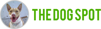 logo-dog