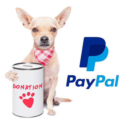 Donation-PayPal