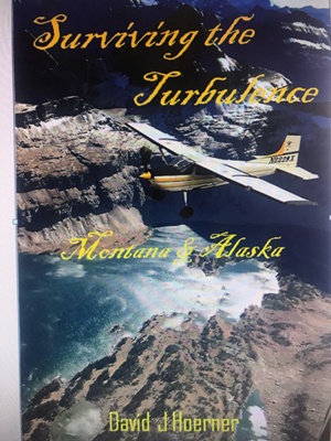 Surviving the Turbulence5_book