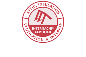 insulation inspection