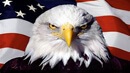 Am flag-eagle